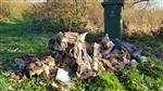 Weer veel rotzooi opgeruimd !!