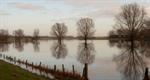 Hoge waterstand